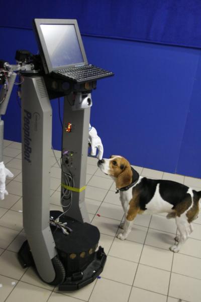 Dogs' Behavior Could Help to Design Social Robots