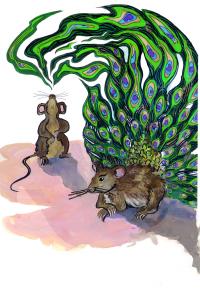 Mouse Pheromones Are like a Peacock's Tail