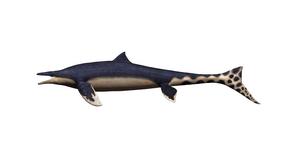 MOSASAUR