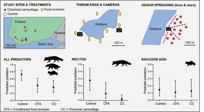 Infographics