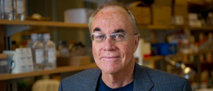 John McDonald Director Cancer Research, Georgia Institute of Technology 