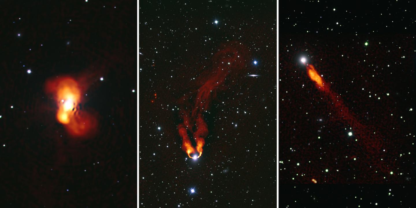 VLA Images of Perseus Cluster Galaxies