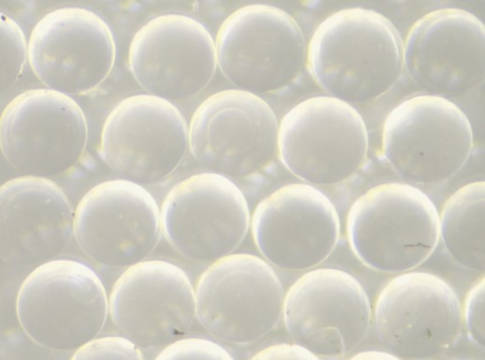 Treating infertility with drug-delivering microspheres