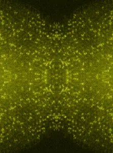 Iridium atoms (colored spots) sprinkled on manganese oxide. This combination allowed high hydrogen production using 95% less iridium.