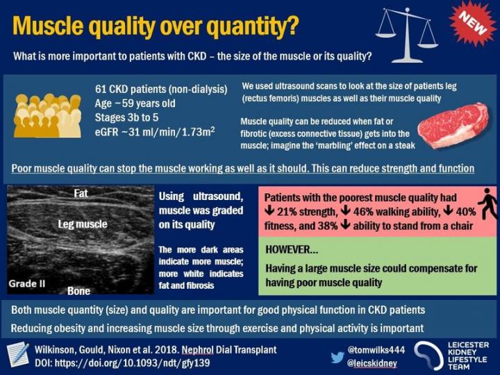 Research Infographic