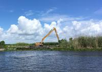 Marsh Restoration