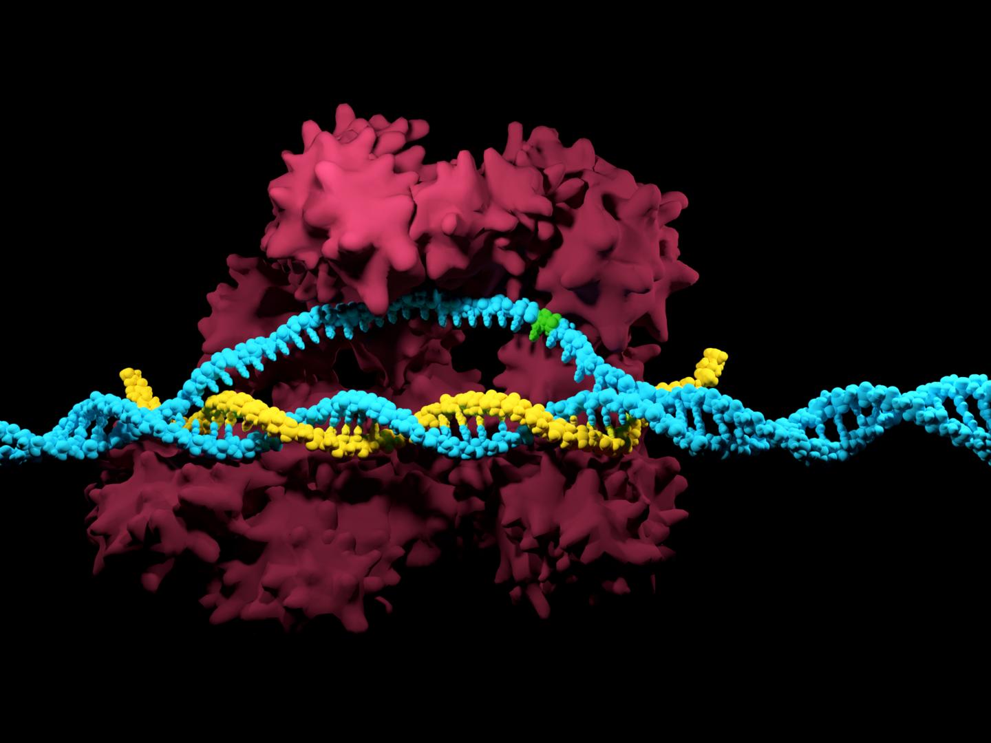 Mutation Prevention System