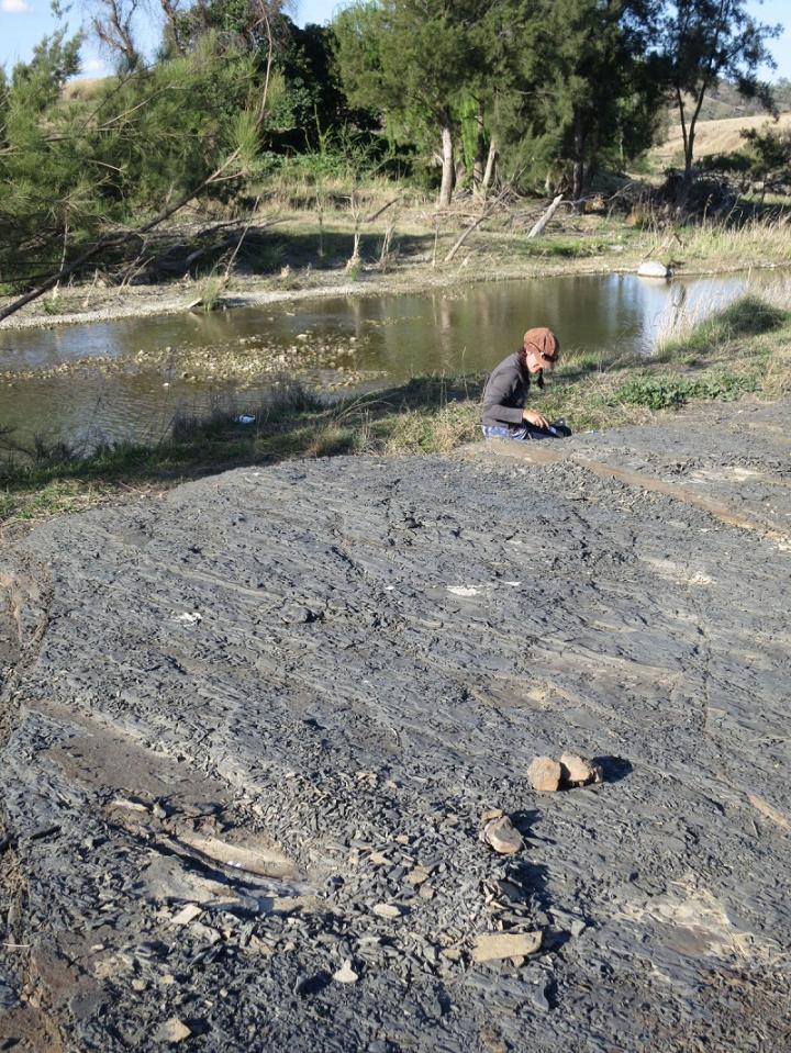 Fossil Site