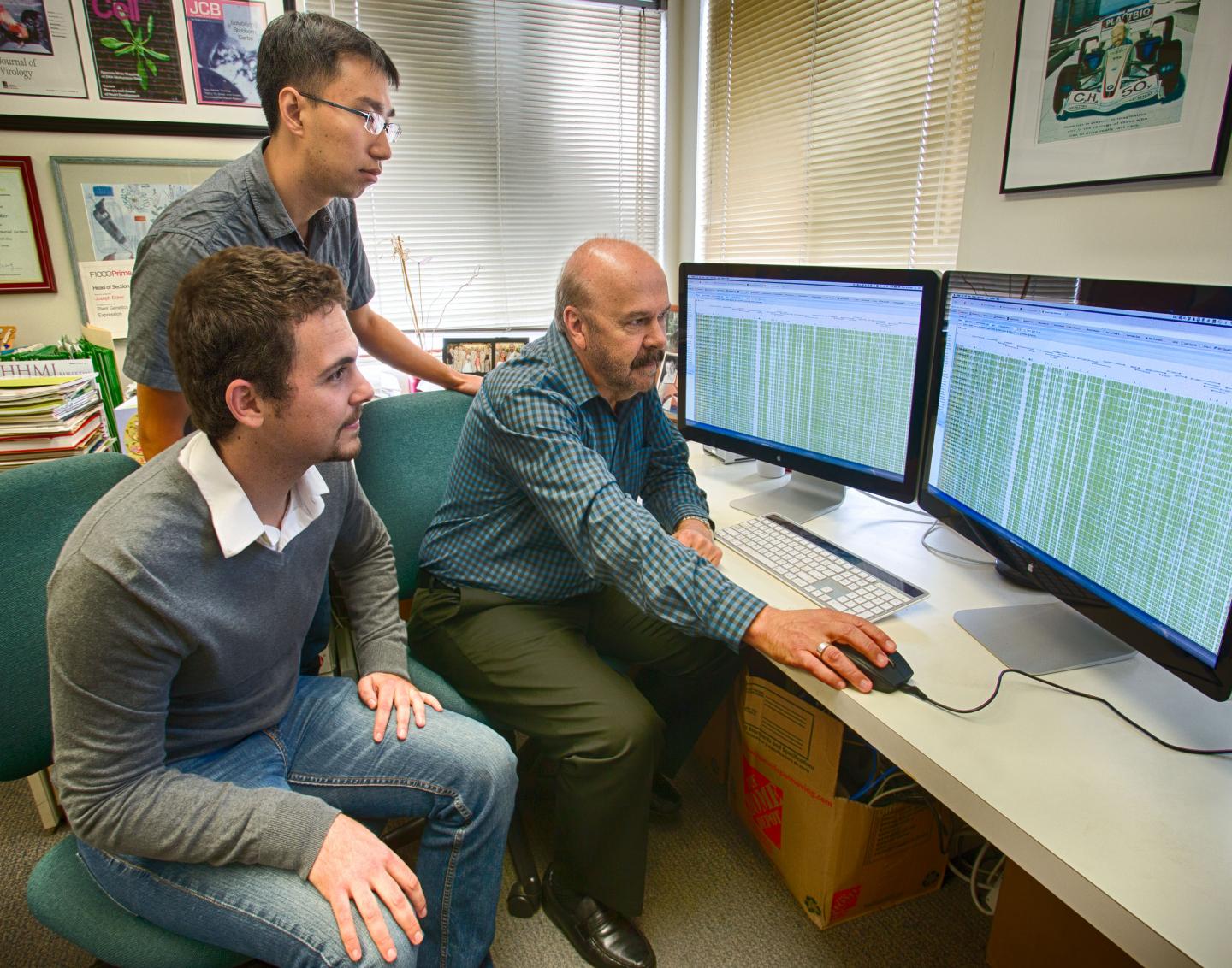 Salk Scientists Reveal Epigenome Maps of the Human Body's Major Organs