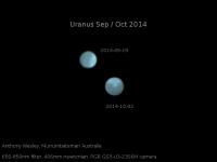 Storms on Uranus in Optical