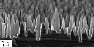 Image of Black Silicon Material