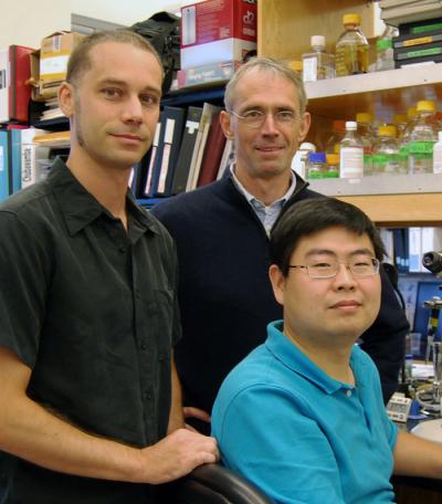 Nicolas Grillet, Ulrich Mueller, and Wei Xiong, Scripps Research Institute