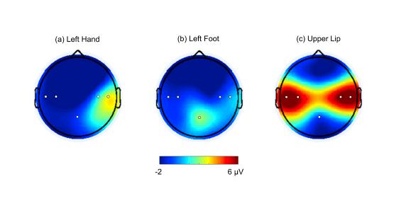 How a Baby's Brain Responds to Touch