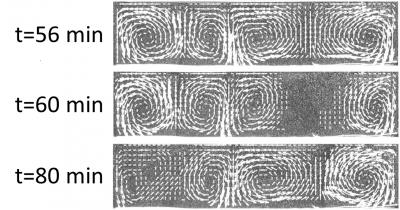 Pattern Evolution during Thermal Convection in a Mixture of Two Silicone Oils