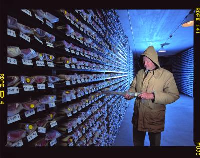 Sherwood Wise Jr., Florida State University