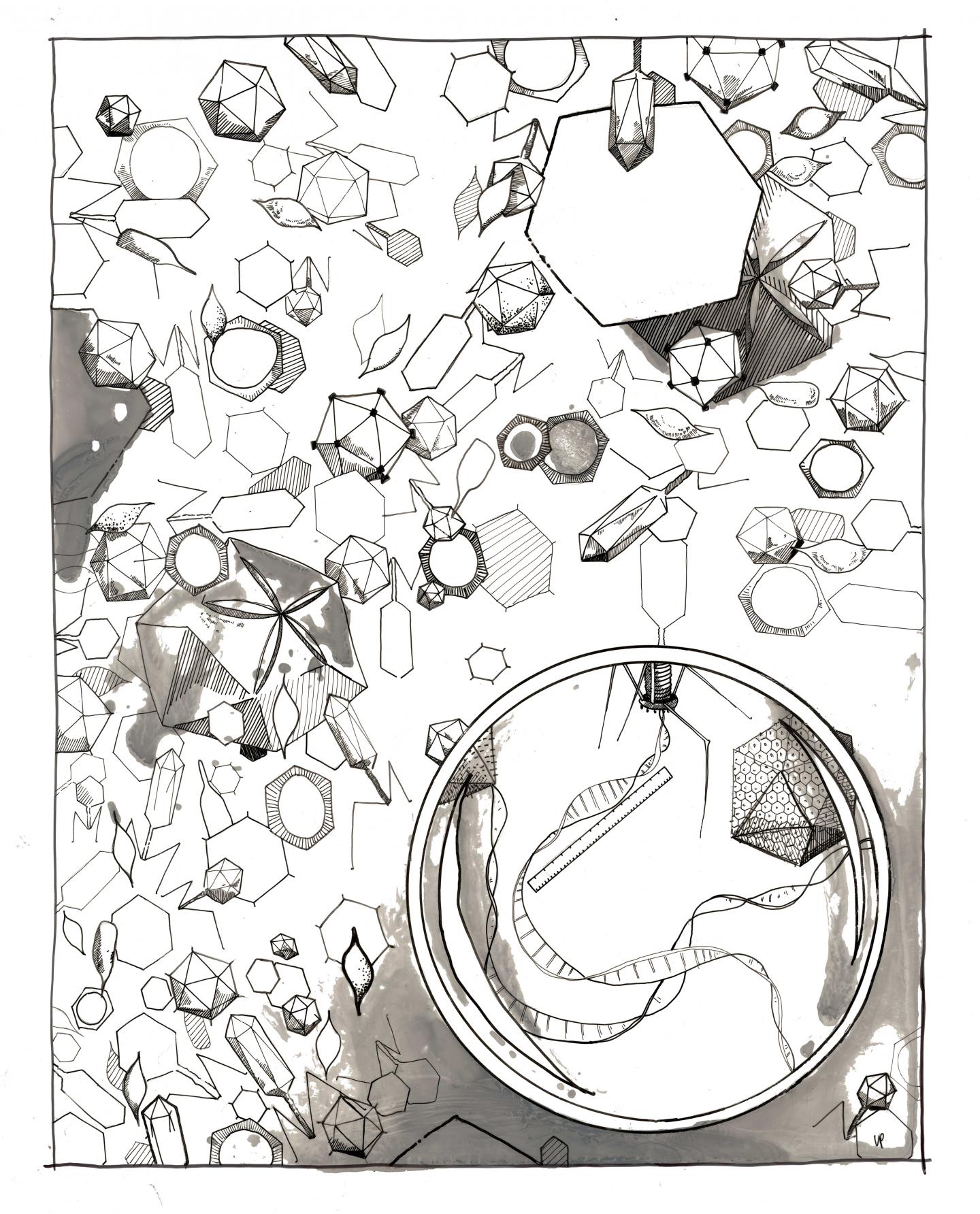 Artist Rendering of Genomics and Metagenomics Applied to Deciphering the Extensive Diversity