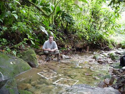 UGA Study Reveals Ecosystem-Level Consequences of Frog Extinctions (3 of 3)