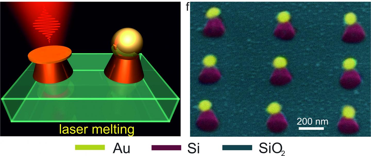 SEM Image of Fabricated Nanoantennas