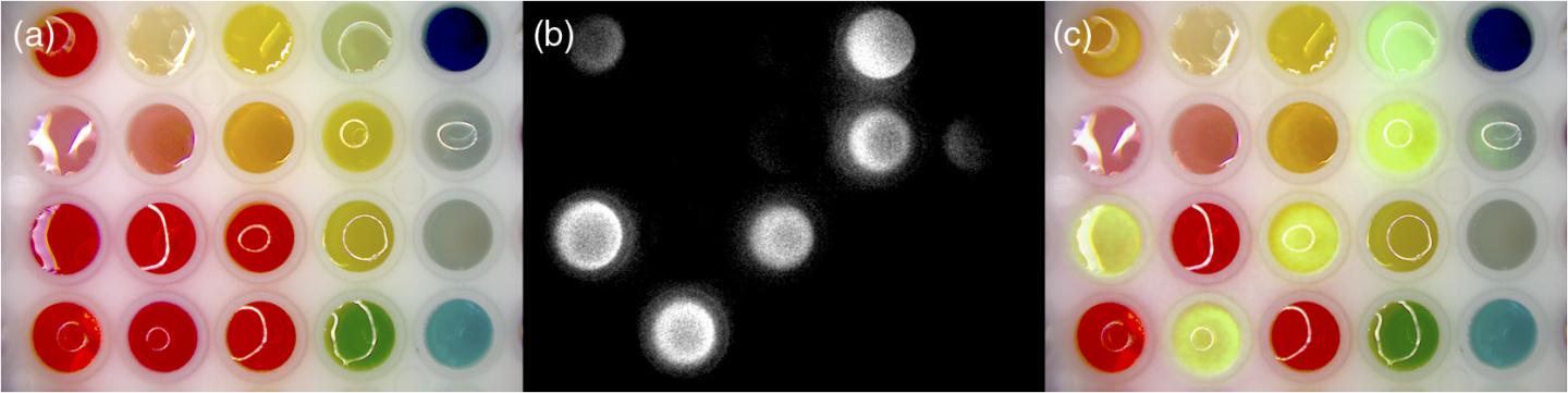 Simple Illustration of Augmented Microscopy