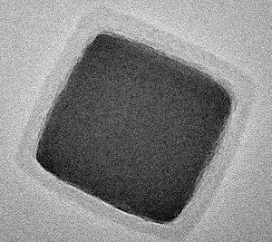 TEM Image of Core–Shell Nanoparticle for Printable Biosensors