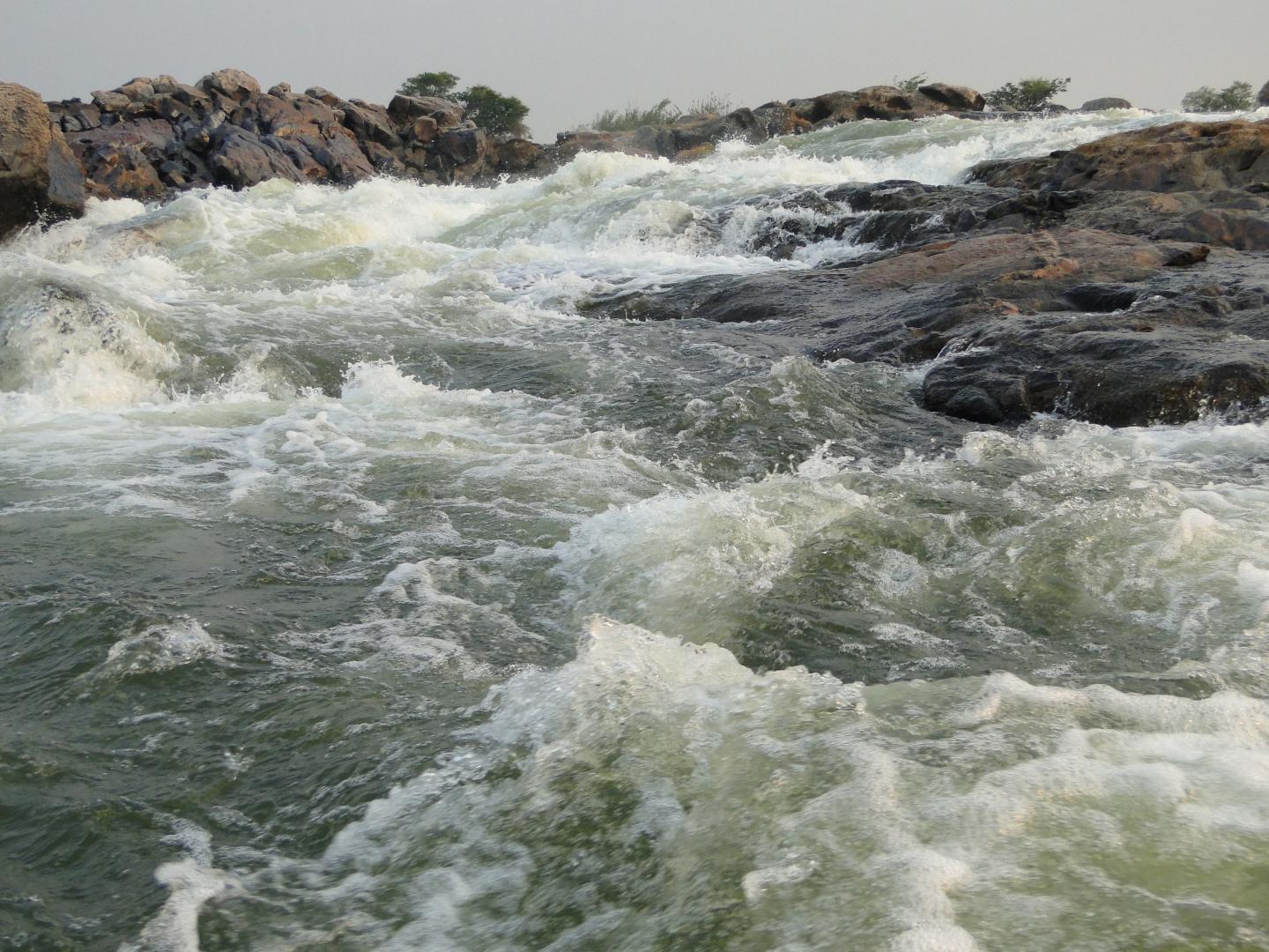 Paying for Hydro Energy With Tropical Biodiversity and Fisheries (2 of 3)