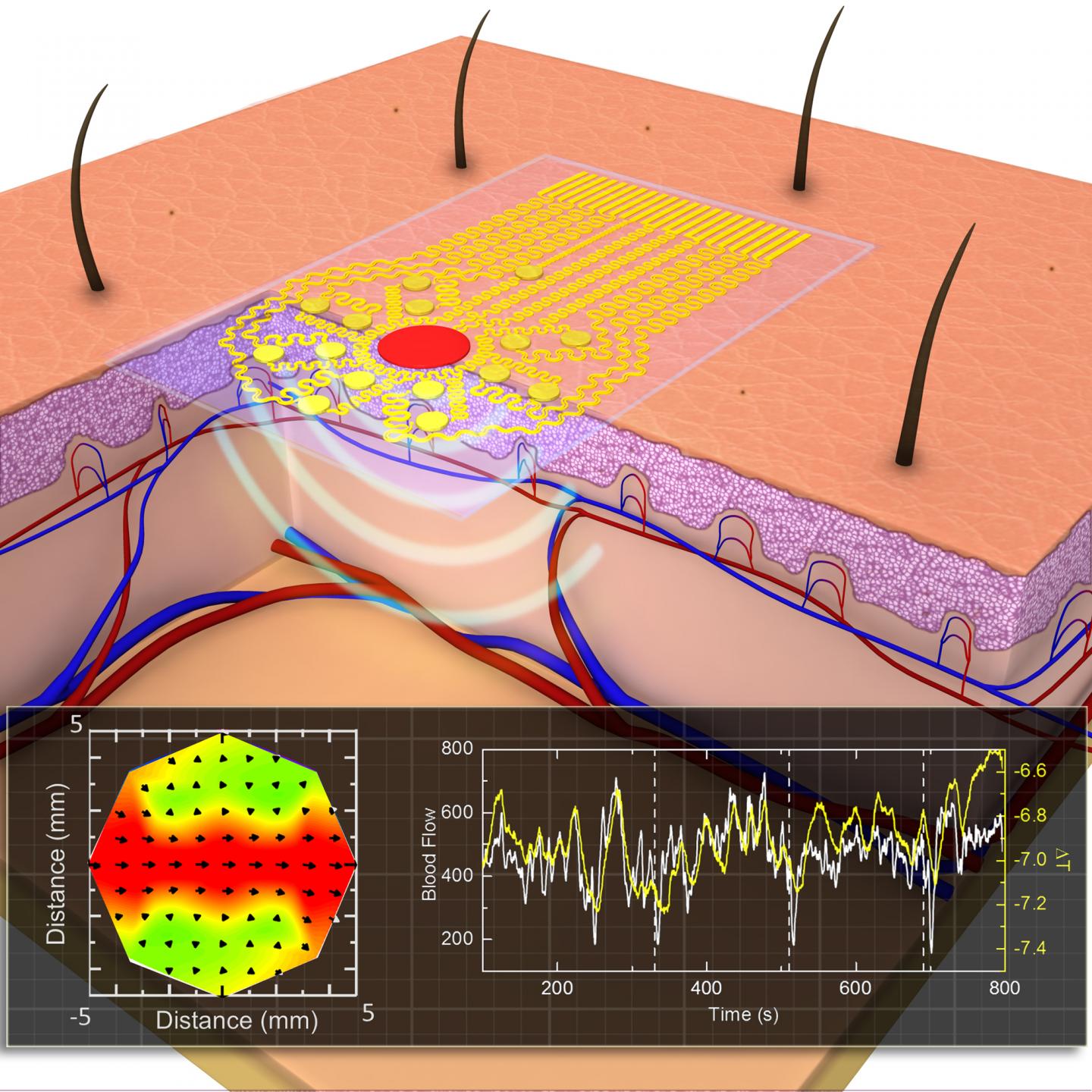 Wearable, Ultra-thin Film Maps Blood Flow Underneath Skin (7 of 7)