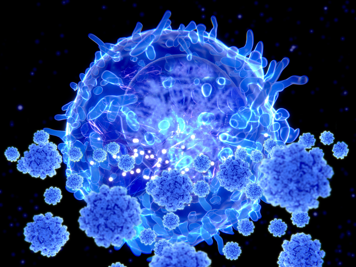 T cell targeting SARS-CoV-2 viruses