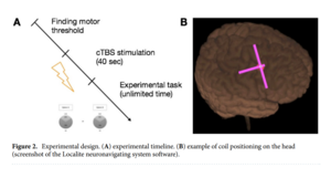 Experimental design