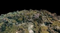 3D reconstruction of coral reef