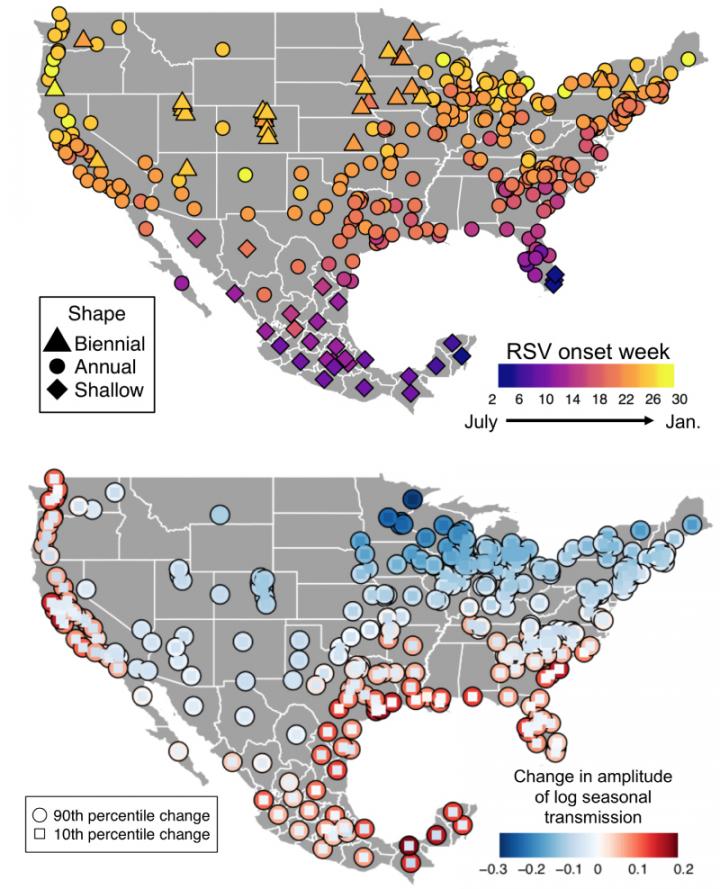 RSV Epidemic Maps [IMAGE] EurekAlert! Science News Releases