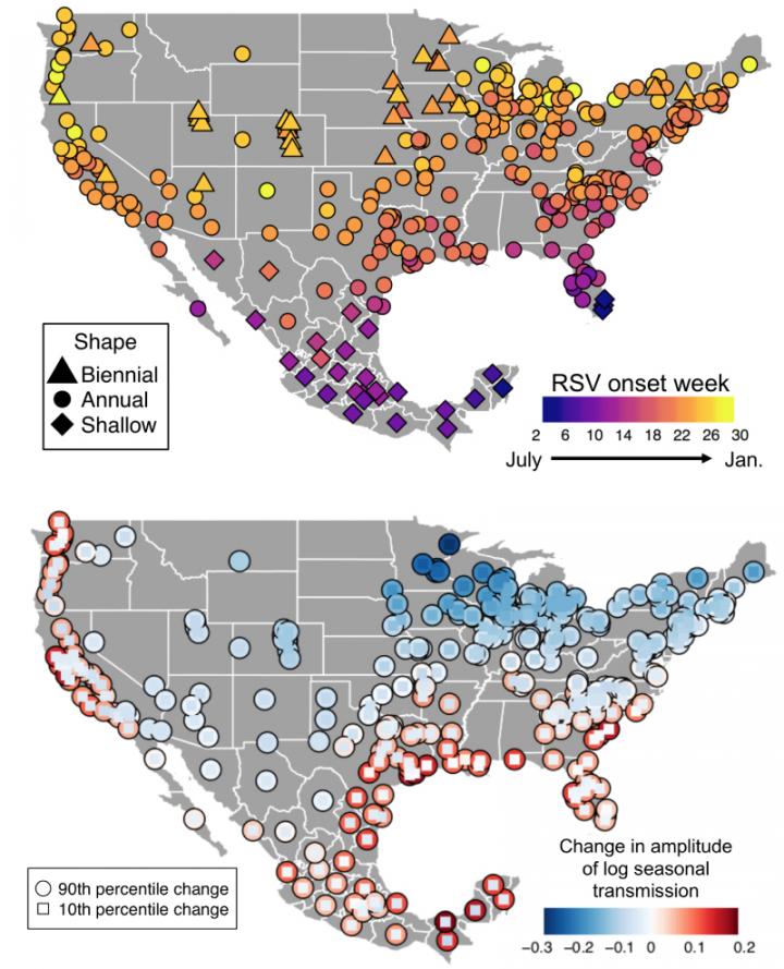 RSV Epidemic Maps