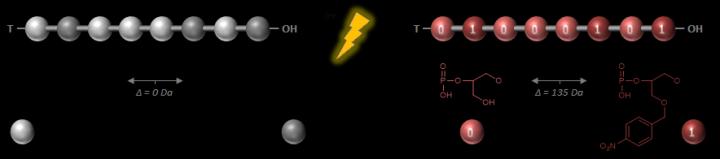 Schematic Representation of a Secret Molecular Message Revealed by Light