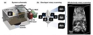 Schematic of the high-speed rotating scanning photoacoustic computed tomography system developed by the research group