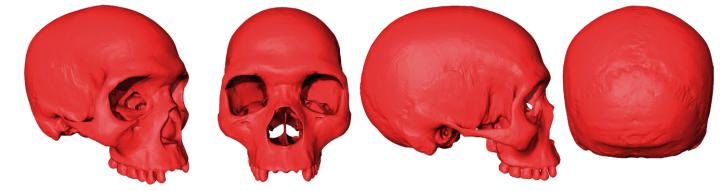 Modélisation de l’ancêtre commun (virtuel) à tous les membres de notre espèce, Homo sapiens. 