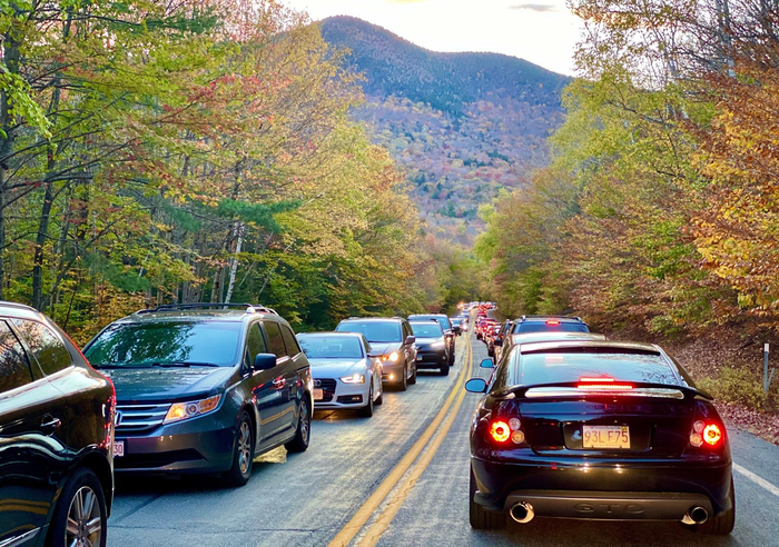 Pandemic Impact on New England National Forests