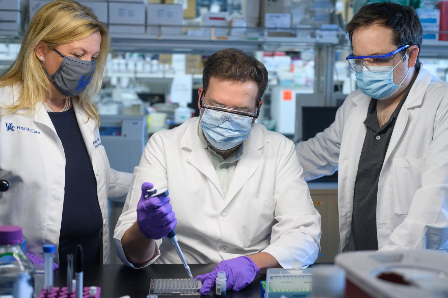 Testing Artemisia annua extracts in the lab