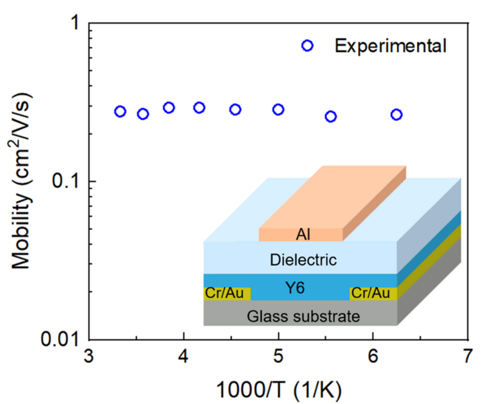 Organic TFTs exhibiting band-like transport