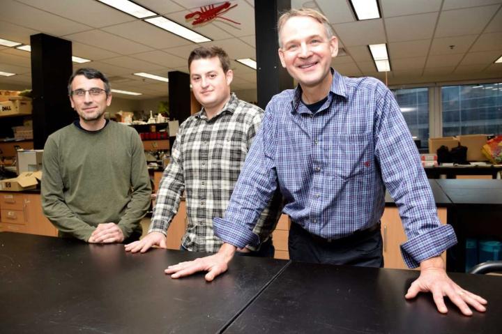 From Left: Professor Frédéric Laberge, PhD Student Caleb Axelrod and professor Beren Robinson