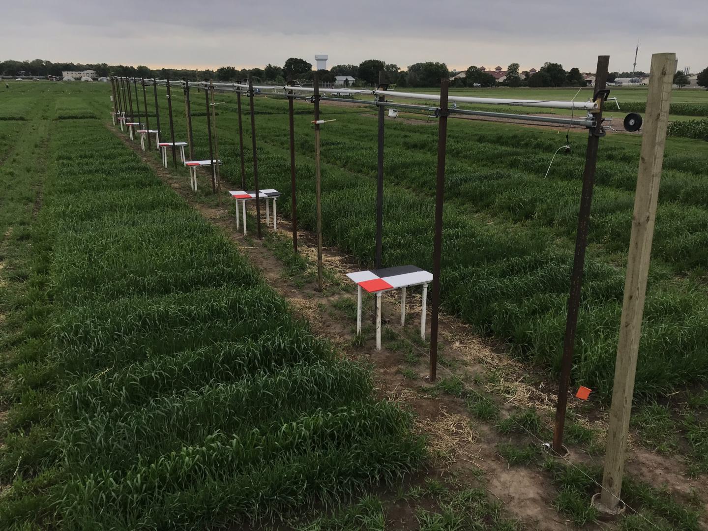 Automated Field Camera Track System