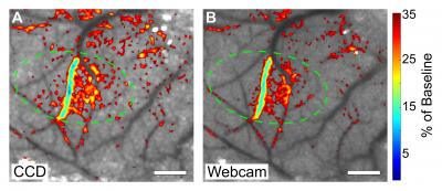 Webcam and Laser Pointer Results