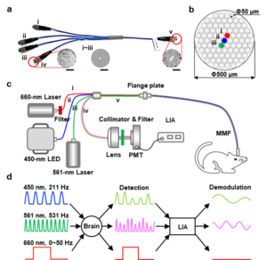 FIG 1