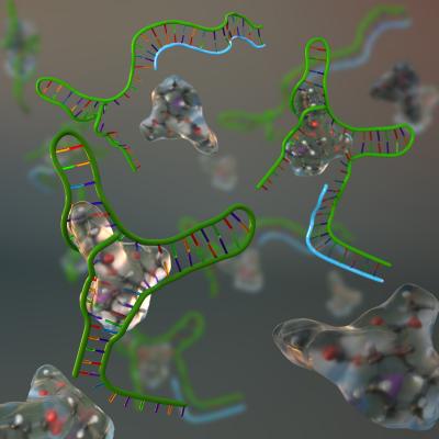 Canada-US-Italian Research Team Develops a Cocaine Biosensor Inspired by Nature