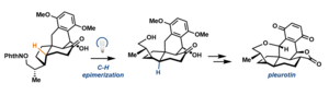 Pleurotin synthesis