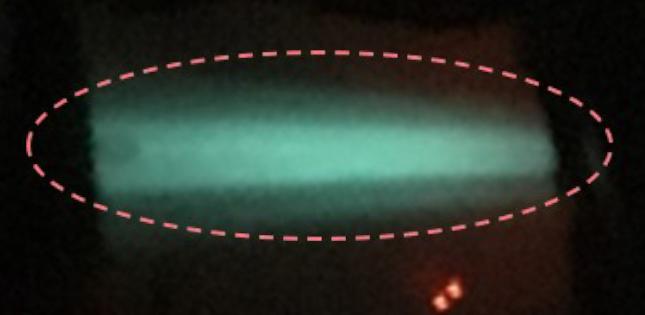 Sensing Internal Organ Temperature with Shining Lights