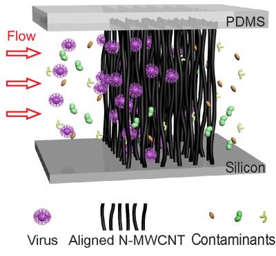 New, Carbon-Nanotube Tool for Ultra-Sensitive Virus Detection and Identification (1 of 3)