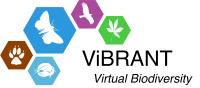 ViBRANT Logo