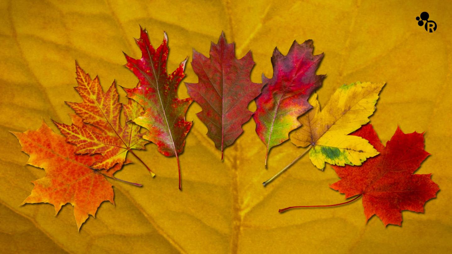 Why Do Leaves Change Color in the Fall?