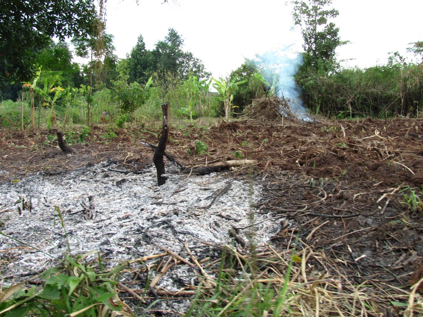 Burned Deforested Land in Uganda