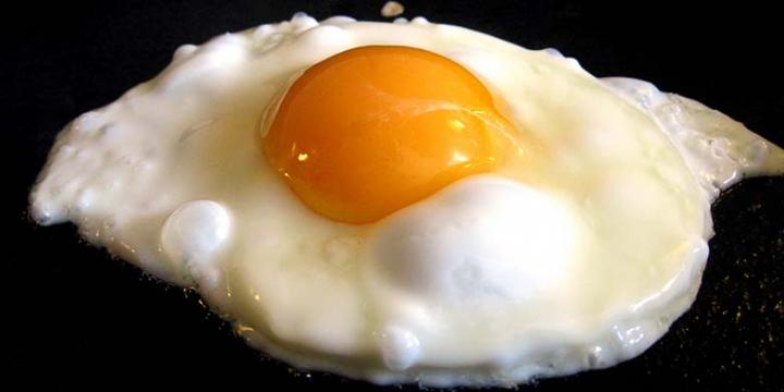Fried Egg
