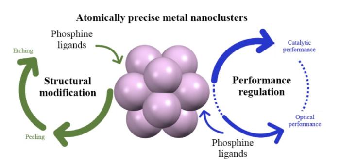 Atomically Precise Metal Nanoclusters